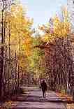 The Betsie Valley Trail in Autumn: I-537