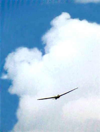 Glider over Frankfort: Q-366