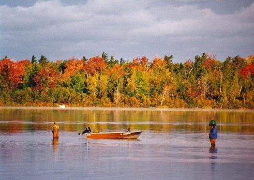 Autumn on Loon Lake: Y-503
